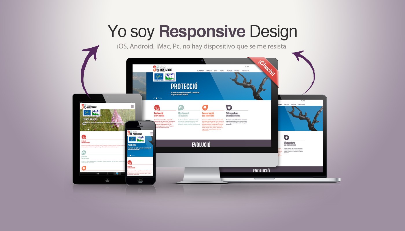 Diseño Web Responsive